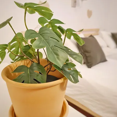 Casa Bella * ロカルノ