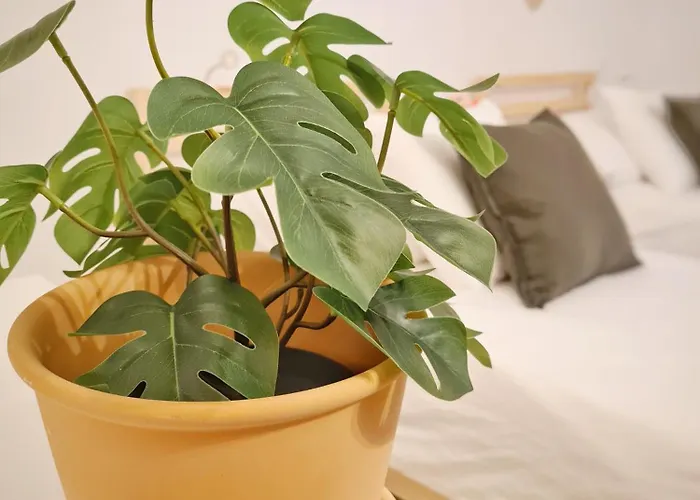 Casa Bella * Locarno