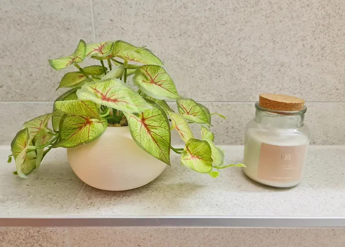 Apartment Casa Bella